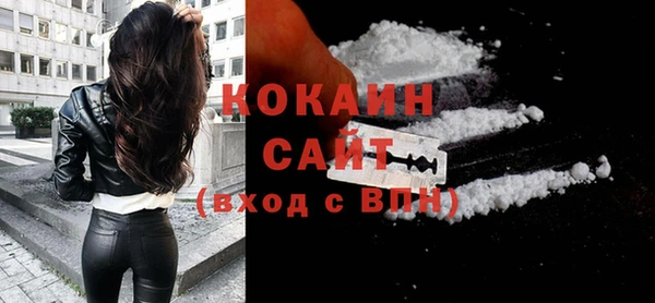 крисы Инта