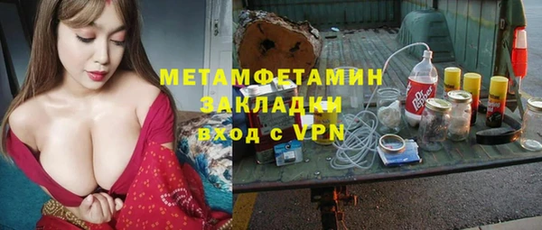 крисы Инта