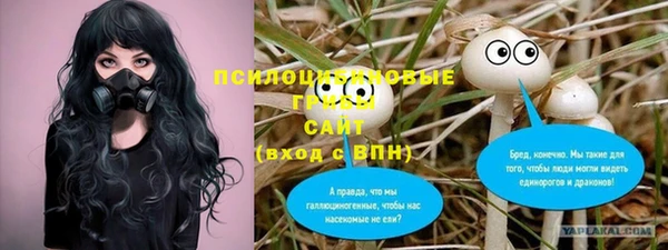 гидропоника Зерноград