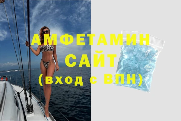 крисы Инта